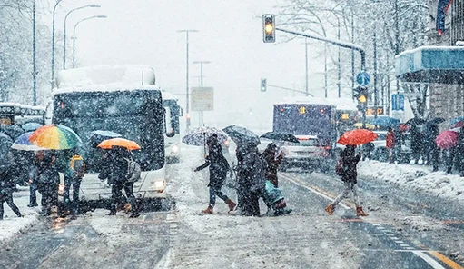 VCG41N913868920 VCG41N913868920